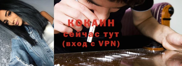 амф Арсеньев
