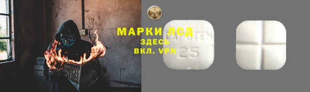 СК Аркадак